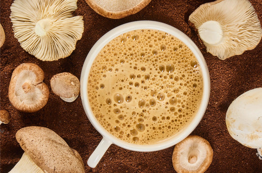 Cafe Instantáneo con Mezclas de Hongos y Achicoria - 105g