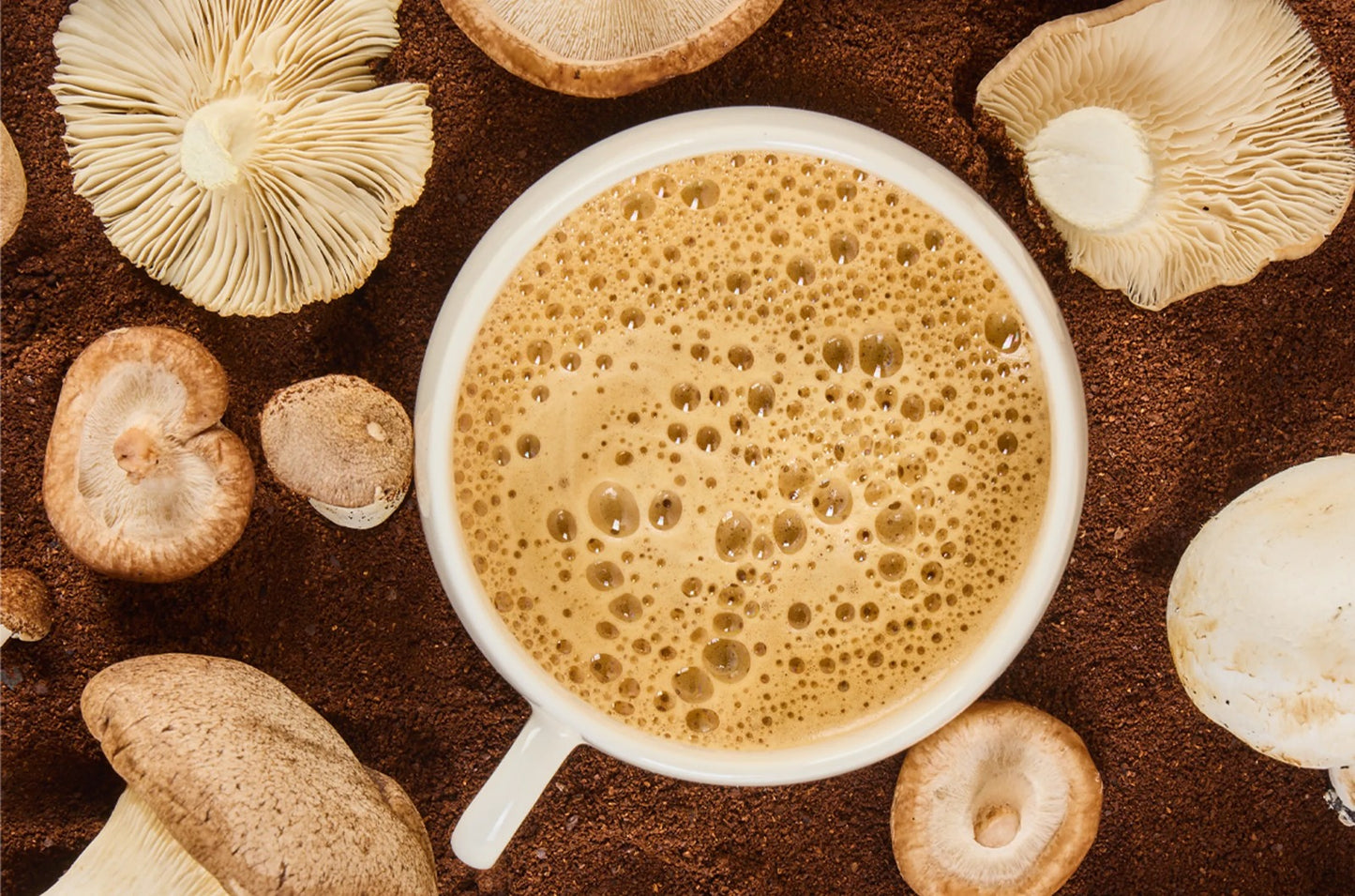 Cafe Instantáneo con Mezclas de Hongos y Achicoria - 105g